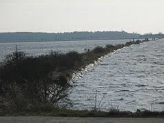 Rezerwat przyrody Ptasi Raj